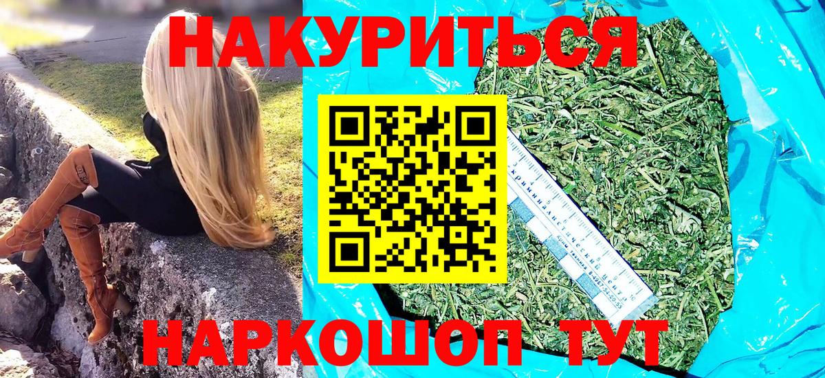 Канабис планчик  Каннабис OG Kush  Энгельс  Вход с VPN  Конопля сатива  МАРИХУАНА марихуана 